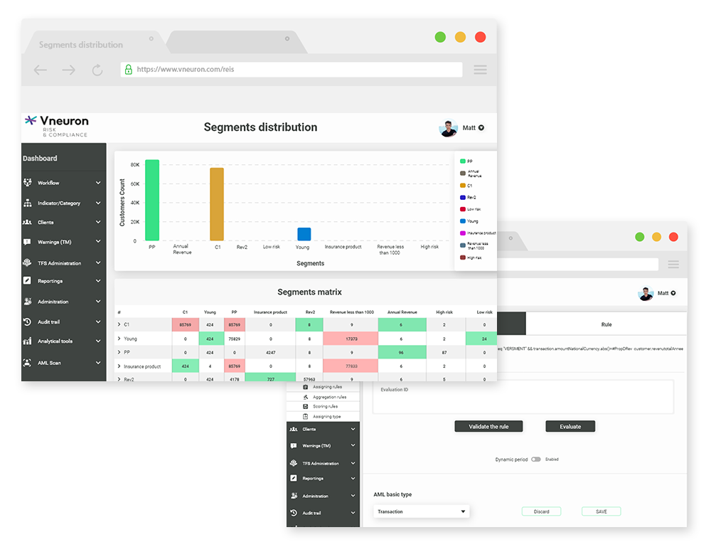 Transaction monitoring in Anti-Money Laundering investigations